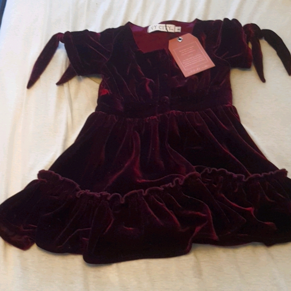 IVY CITY co velvet mini clara dress